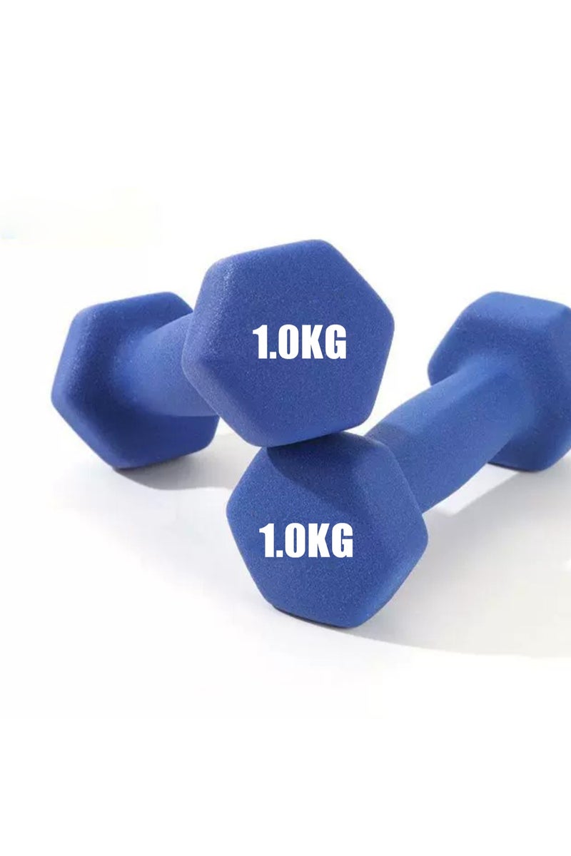 طقم دمبل من الحديد الزهر الصلب مكسو بمسحوق وزنه 6 كيلوغرامات، ومجموعة لياقة بدنية عائلية من الدمبل المكسو بمسحوق، مع طلاء مطاطي وطلاء ملون على الدمبل الصغيرة